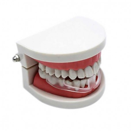 Dww-gouttiere Dentaire Bruxisme Thermoformable 4pcs, Protecteurs Buccaux  Sans Bpa, Protege Dent Nuit, Anti Grincement Dent, Protege Dents Boxe
